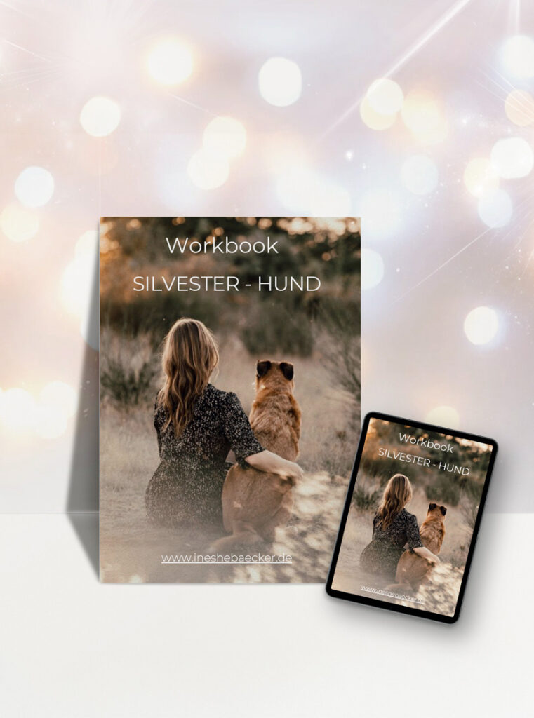 Workbook Silvester - Hund